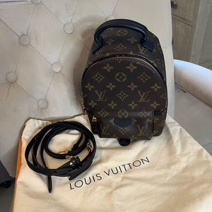 LV Mini Palm Springs backpack.
